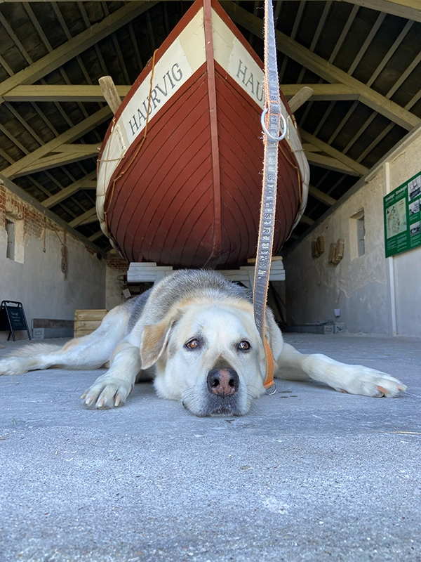 aaron-haurvig-boat