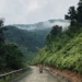 ho-chi-minh-trail-motorbike-tour