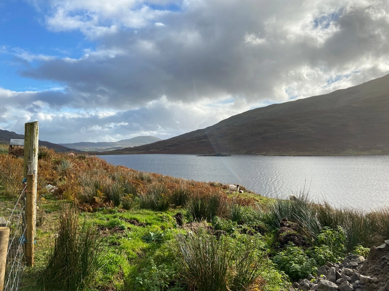 lough-corrib-connemara-nationalpark-daytour