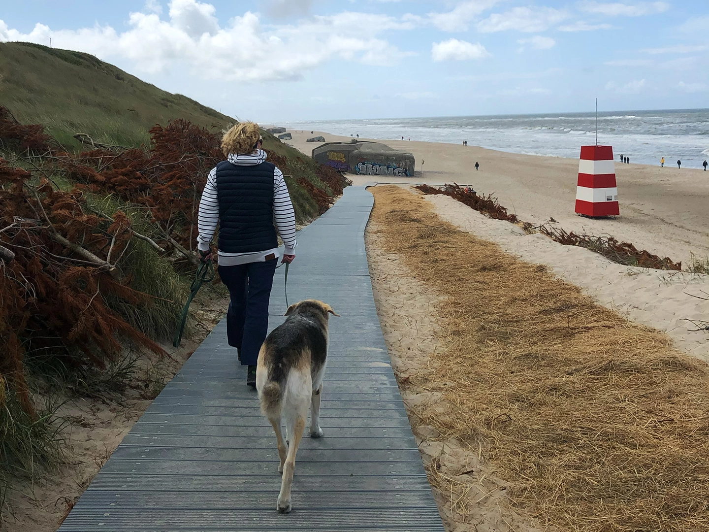 denmark travel with dog