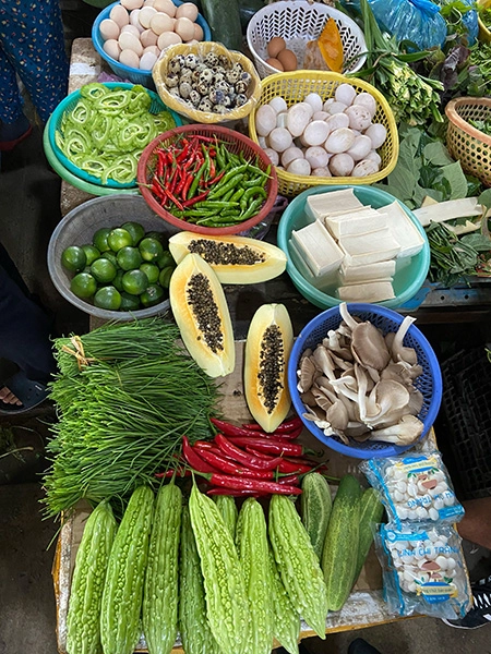 exploring-the-countryside-of-hoian-market-1