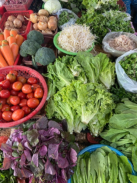 exploring-the-countryside-of-hoian-market-2