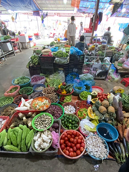 exploring-the-countryside-of-hoian-market-3