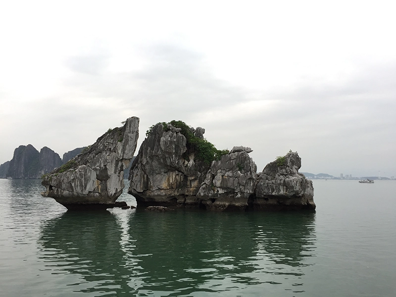 ha-long-bay-fighting-cock-islet