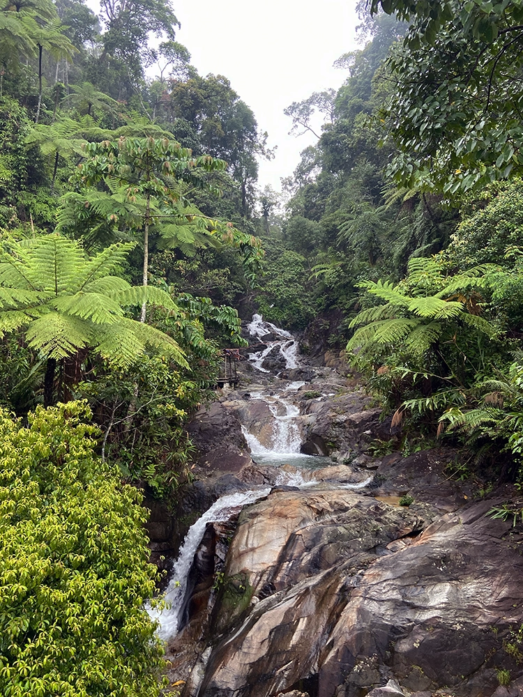 waterfall-sao-la-nature-reserve