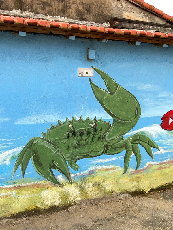 crab-iphone-bike-tour-tam-thanh-mural-village