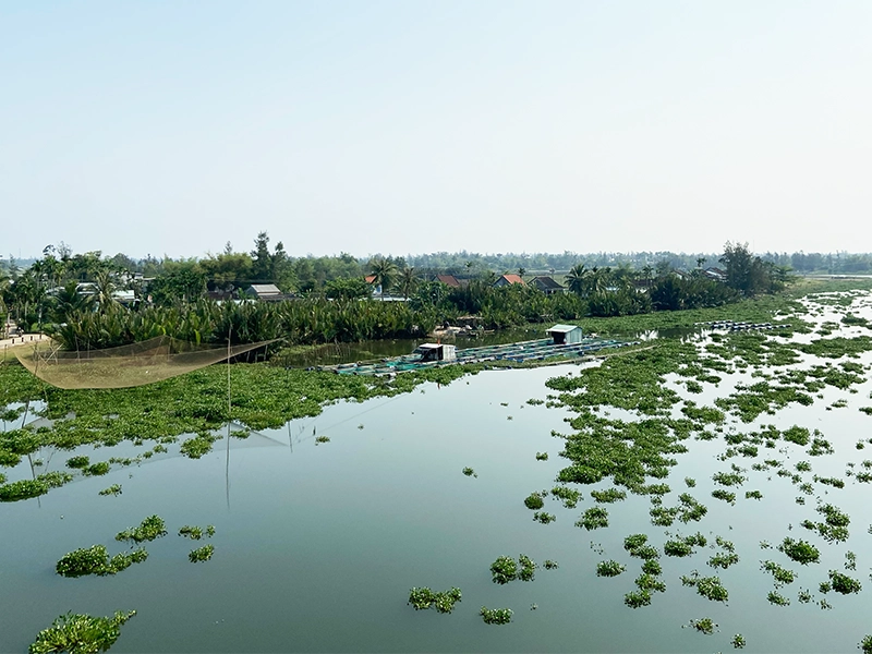 more-fish-farms-hoian