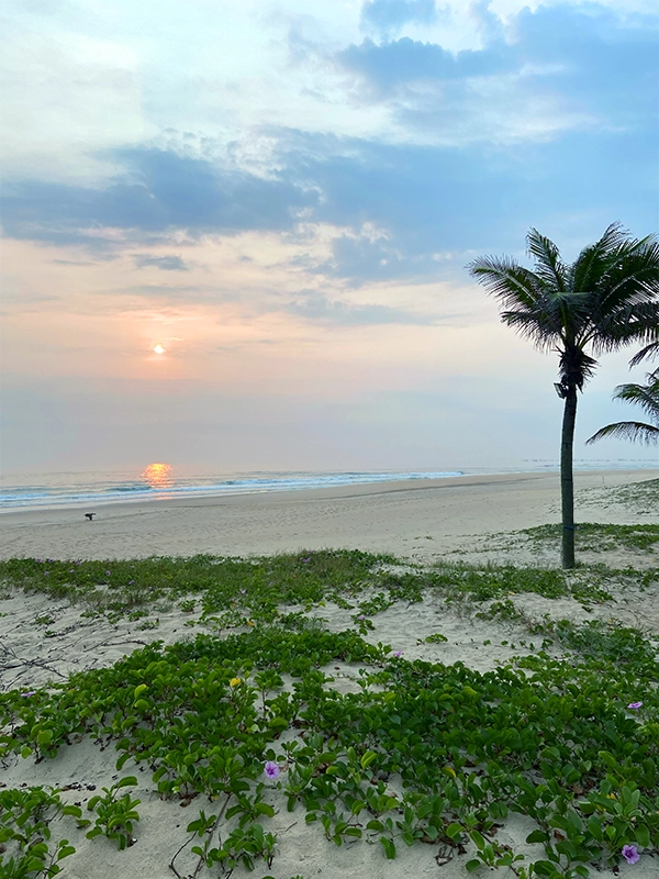 sunrise-tui-blue-beach