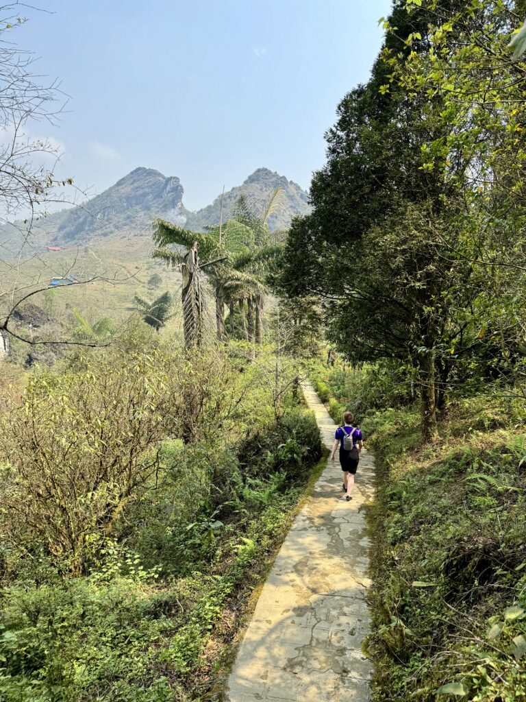 wandering through ham rong mountain park sapa