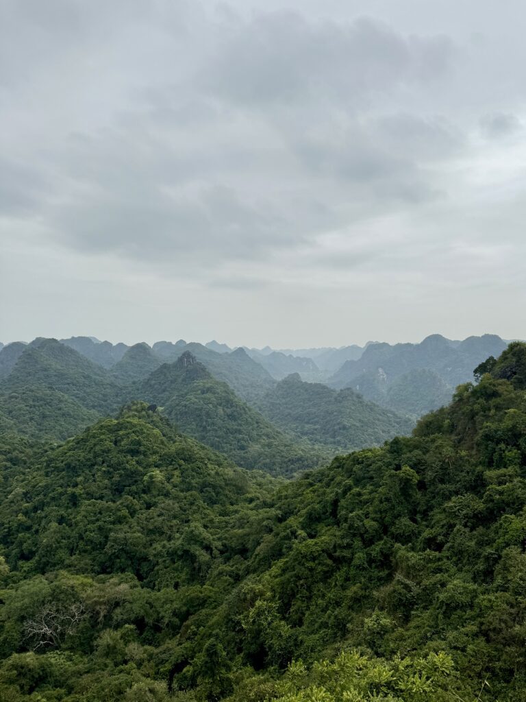 View from Ngự Lâm Peak