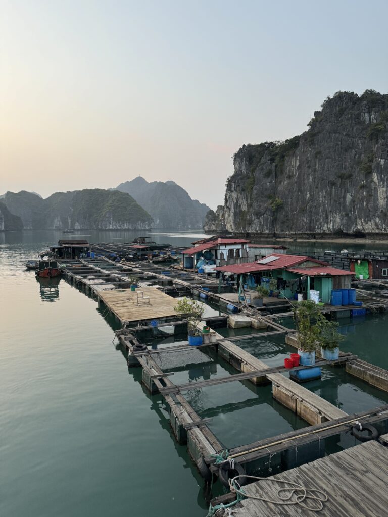 Floating Village Lan Ha Bay