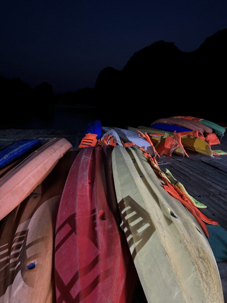 Kayaks to see the Glowing Plankton