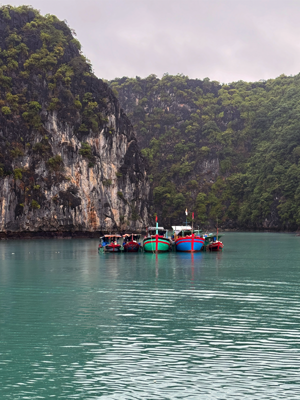 lan-ha-bay-fisher-boats