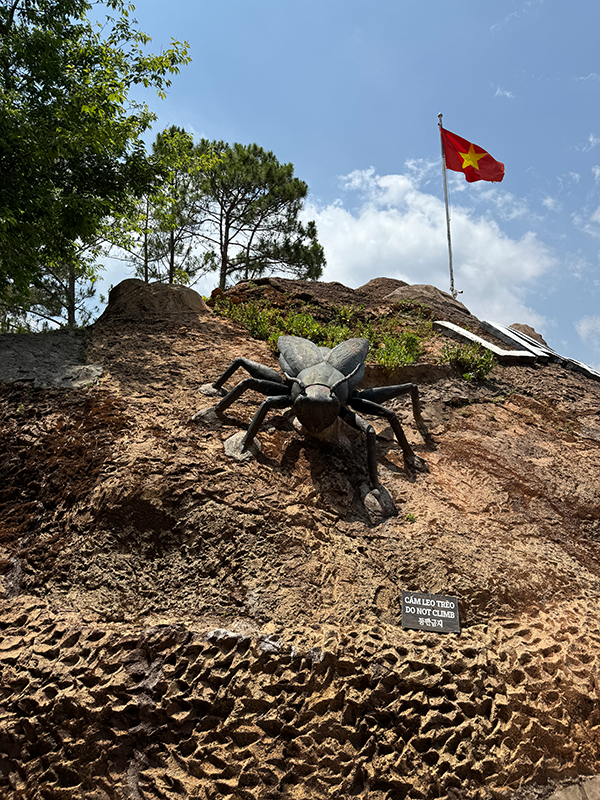 fly-claytunnel-dalat