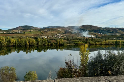 diy-daytour-douro-valley