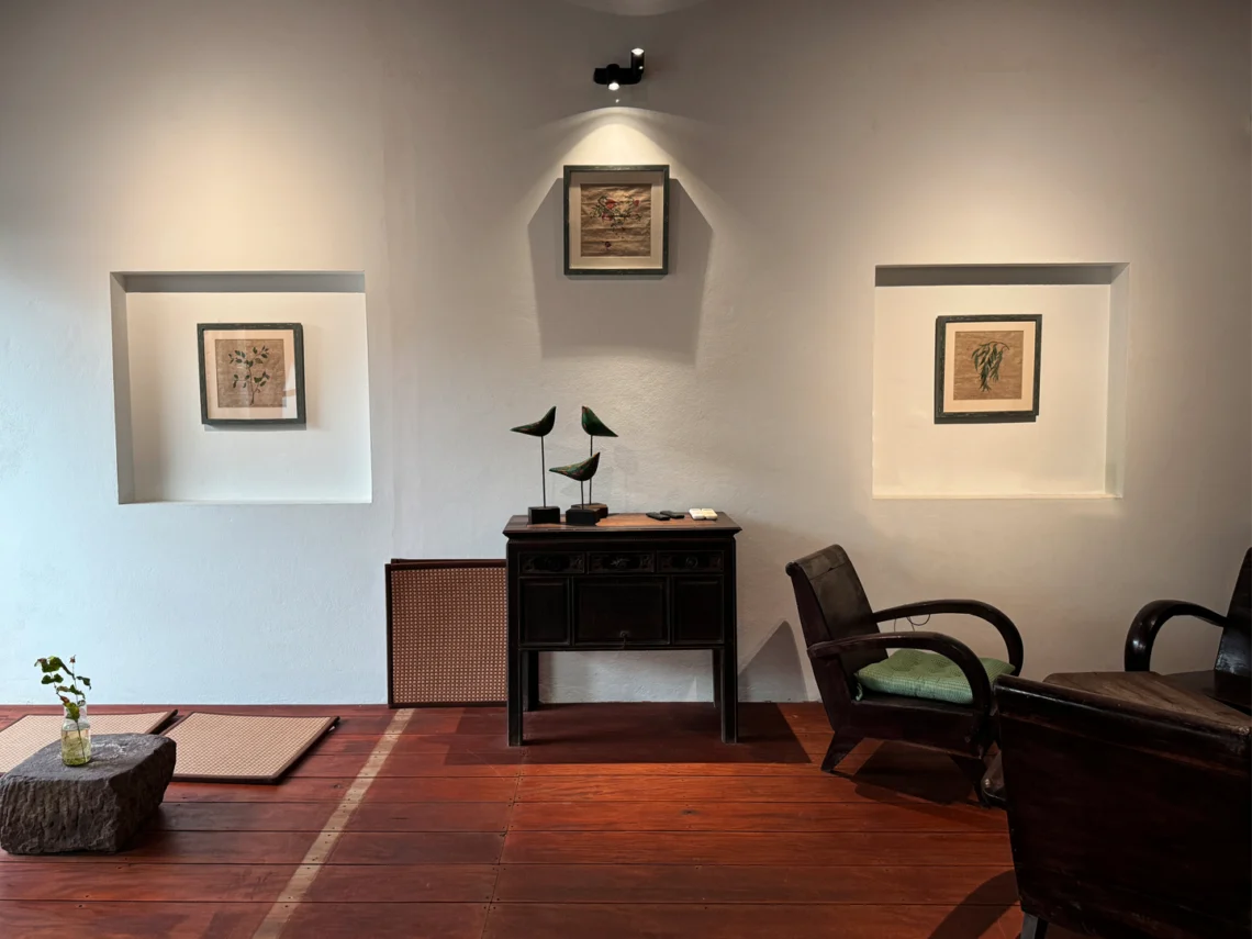 tea-tasting-in-hoi-an-la-kao-teahouse