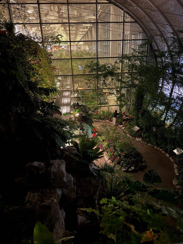 butterfly-garden-changi-airport