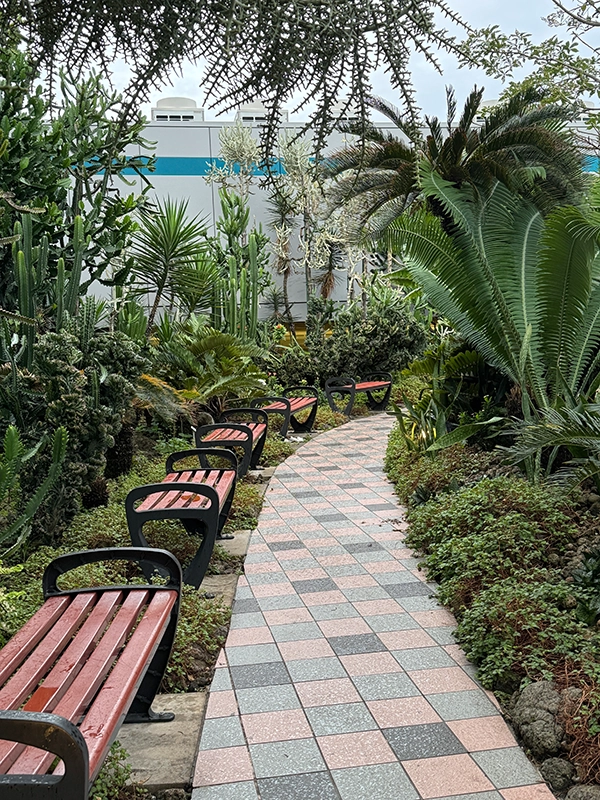 cactus-garden-changi-aiport-1