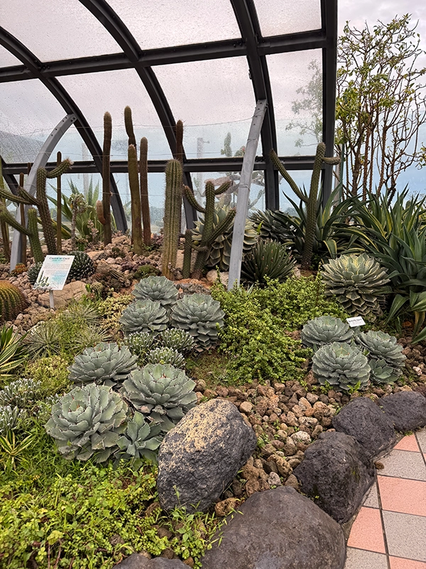cactus-garden-changi-aiport-2