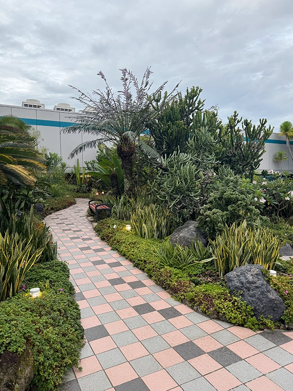 cactus-garden-changi-aiport-3