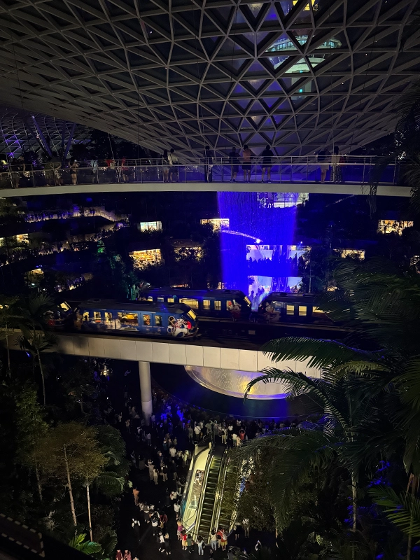 skytrain-from-canopy-park