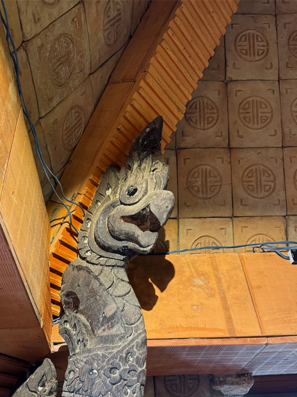 health-symbol-roof-fito-museum