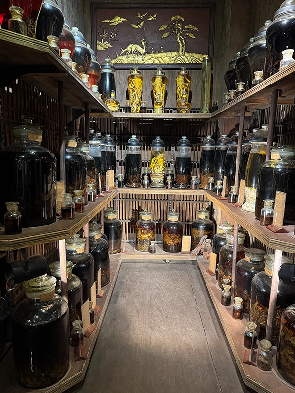 medical-alcohols-traditional-vietnamese-medicine-museum