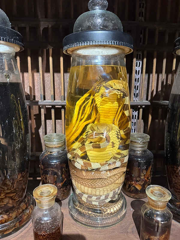 medical-snake-alcohol-fito-museum