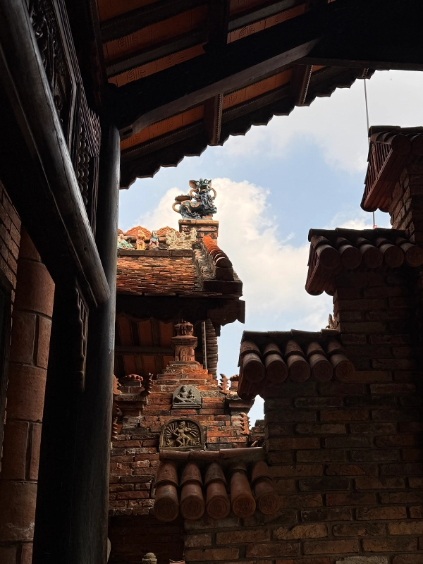 traditional-vietnamese-medicine-museum-rooftop