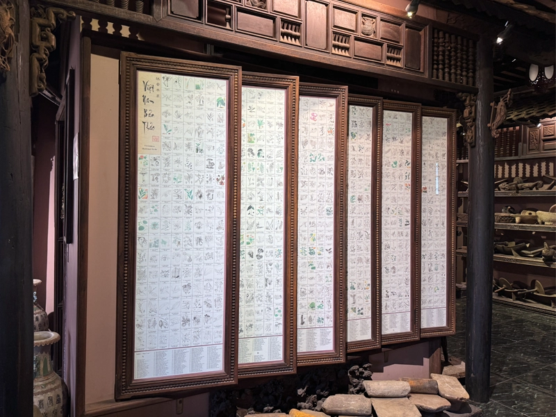 vietnam-manuscript-traditional-vietnamese-medicine-museum