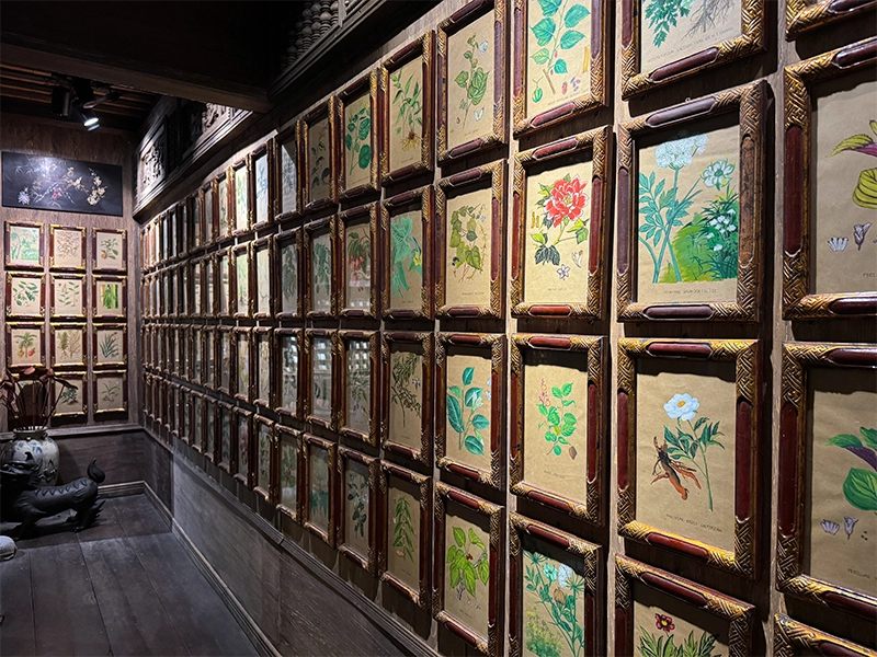 vietnamese-medicinal-plants-medicine-museum