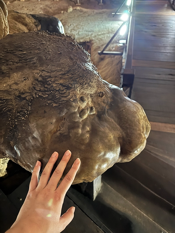 do-touch-these-stalactites