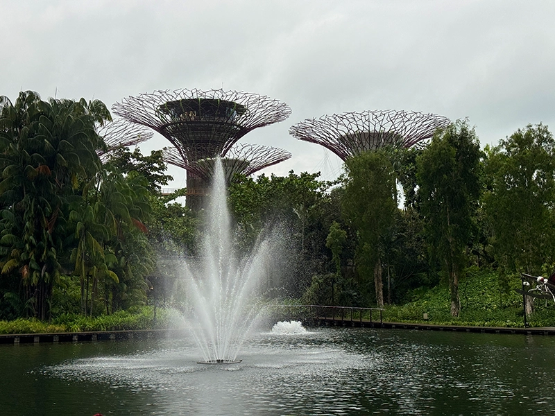 gardens-by-the-bay-singapore