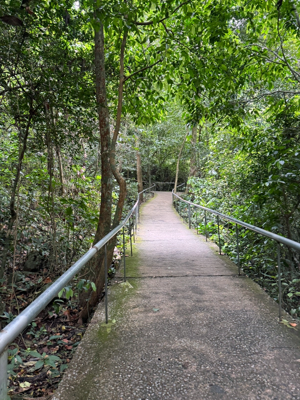 phong-nha-ke-bang-national-park-hiking