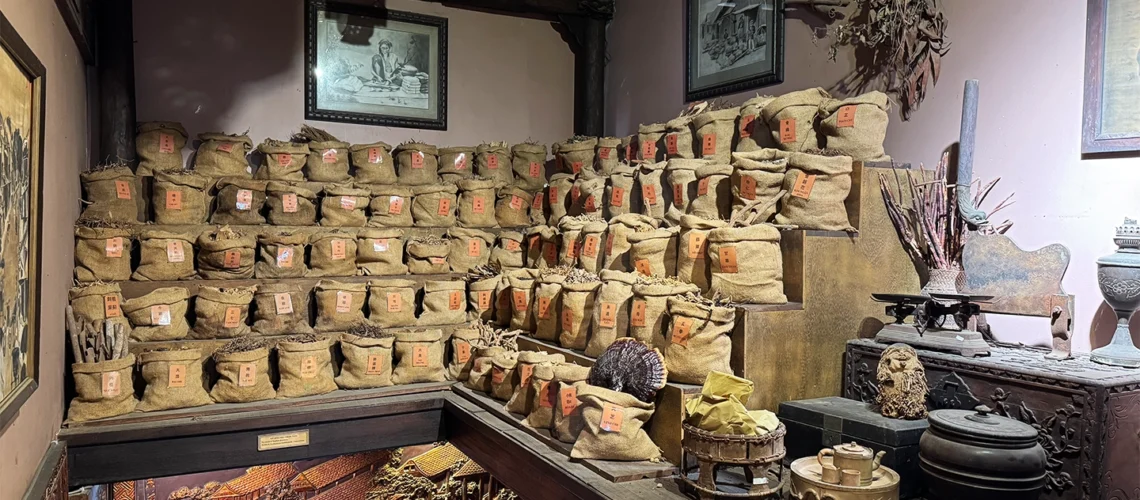 traditional-vietnamese-medicine-museum