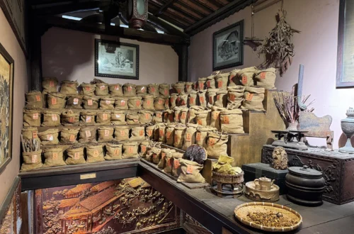 traditional-vietnamese-medicine-museum