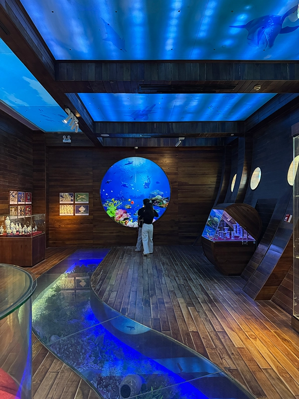 under-the-sea-exhibit-vung-tau-museum