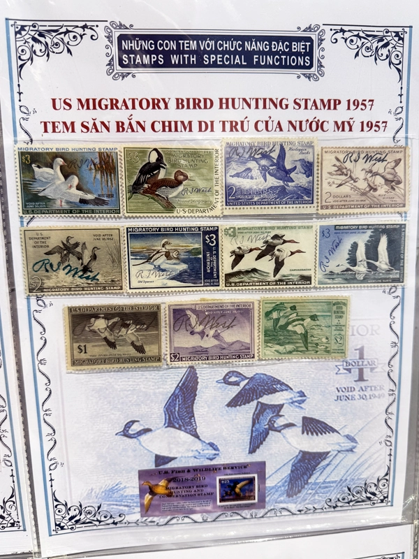 us-migratory-bird-hunting-stamps-1957