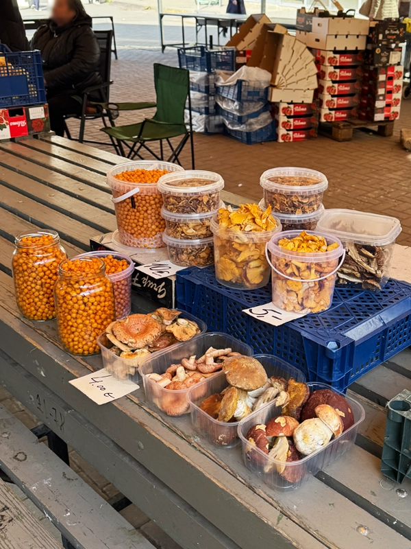 mushrooms-riga-central-market