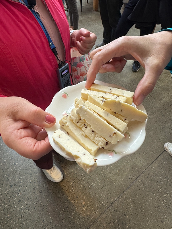 soft-cheese-riga
